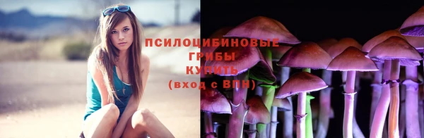 винт Алексеевка