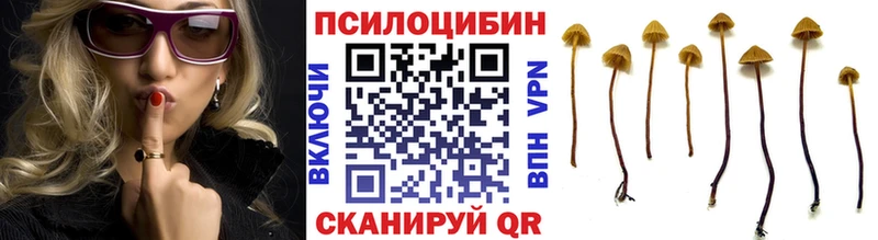сайты даркнета Telegram  закладка  Апатиты  Псилоцибиновые грибы прущие грибы 