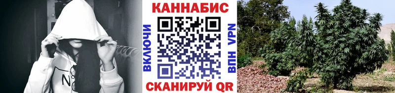 Марихуана сатива  Апатиты 